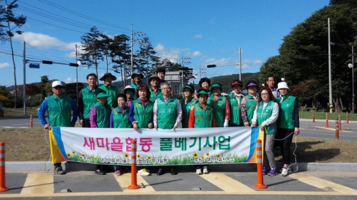 대가야읍 새마을회추석맞이 도로변 풀베기 실시