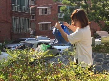 대전 대덕구, 주민참여 ‘내집(상가) 앞 나무 물주기 운동’ 전개