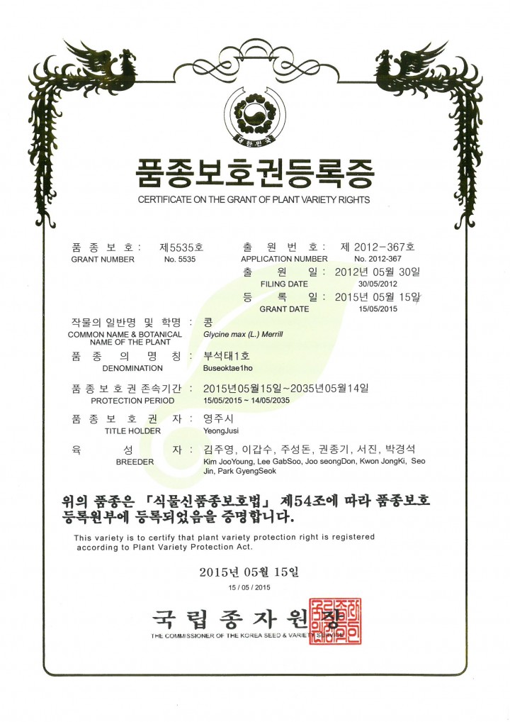  부석태 아프카니스탄에 간다..