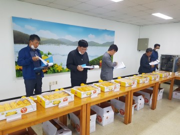 2022년 제11회 성주참외 품평회 개최하는 성주군