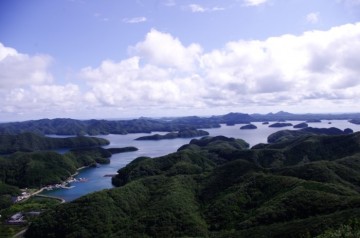 통영 욕지도 해역에서 가두리 양식에 성공한 참다랑어 본격 출하