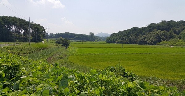 남원 일반산업단지 조성사업 순조롭게 추진