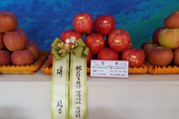 영주시 ‘2018 영주사과 품평회’ 이각지씨 대상 수상