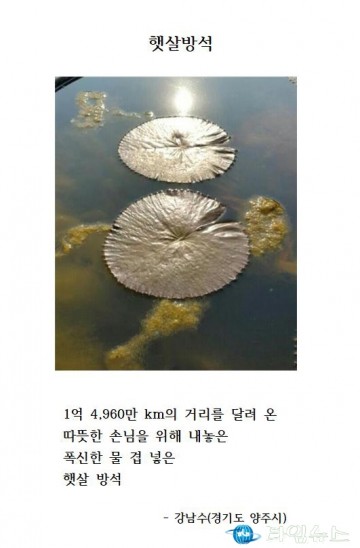 ‘제2회 오장환디카시신인문학상’에 강남수씨 당선작 ‘햇살방석’