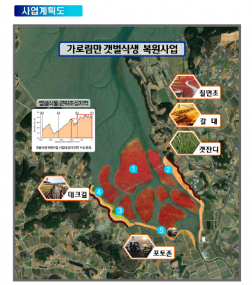 가로림만  ‘갯벌식생 복원사업’ 150억 원 확보로 최상의 생태공간 조성