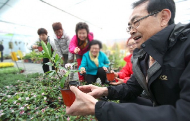 천안시산림조합,전국최대규모의 봄철 나무시장 새 단장