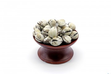 제례문화에 대한 오해와 편견  “홍동백서 조율시이, 근거없는 제사상차림”