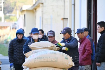영덕군, 공공비축미곡 '건조벼 매입' 시작