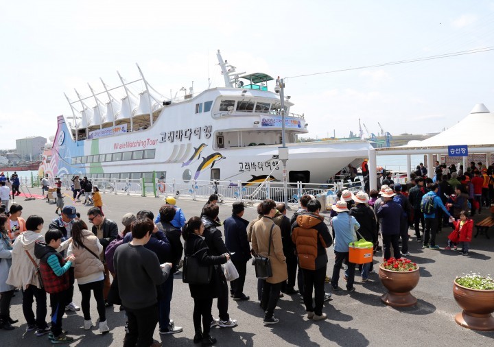 고래바다여행선 첫 출항
