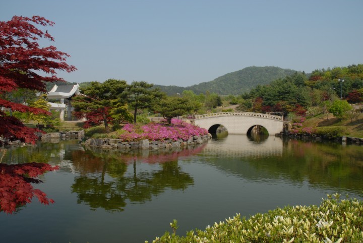 충남도 산림환경연구소, 꽃향기 가득한 금강수목원서 봄을 느껴요!