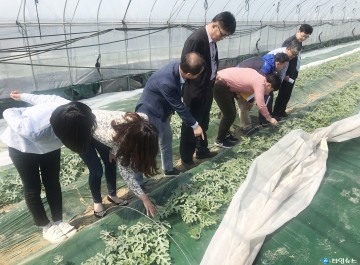 수박연구소 중․소형수박 및 유색수박 생산기술 연구에 박차