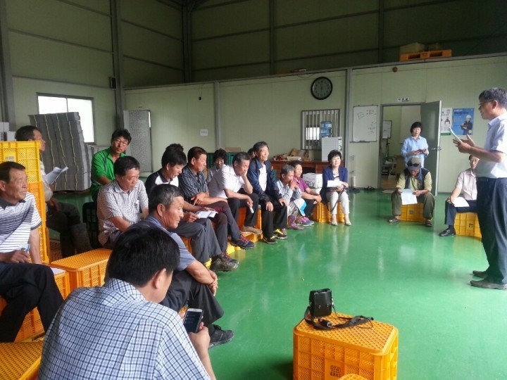  군위군 찰옥수수 2기작 재배로  농가소득향상에 기여!