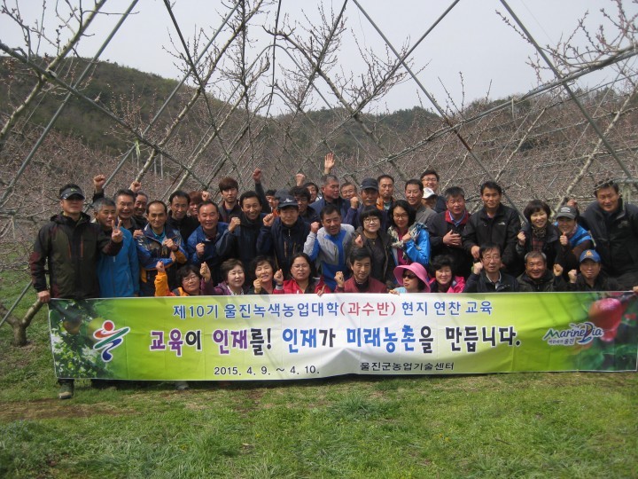 울진에서 재배한 달콤한 과일 맛 볼 수 있어요!