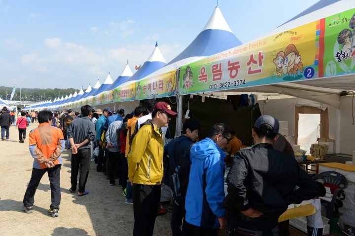 19회 봉화송이축제 대단원의 막을 내리다