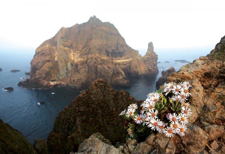 경북대, 동대구역에서 ‘독도의 자연展’ 개최