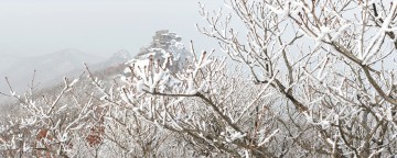 [포토] 거창 기백산의 겨울