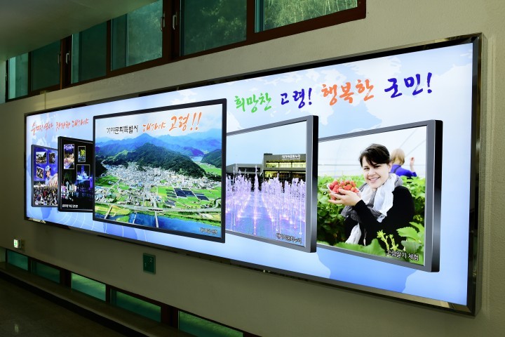 새해 고령군 청사, 문화와 예술이 공존하는 갤러리 식 복도 연출