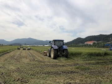사료작물 최적 작부체계 개발한 천안시농업기술센터