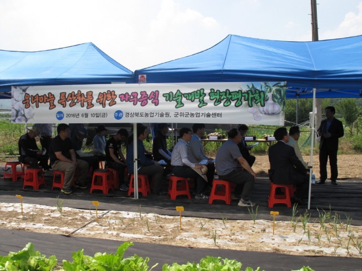 경상북도농업기술원, 군위군농업기술센터 연구결과 현장 평가회 개최