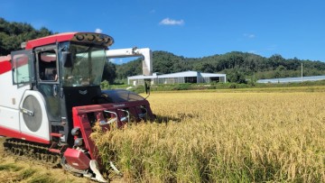 상주시, 가루쌀 첫 수확 실시