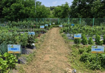대전 유성구, 2026 도시농업 공동체 텃밭 운영… 3곳 1만2657㎡ 조성