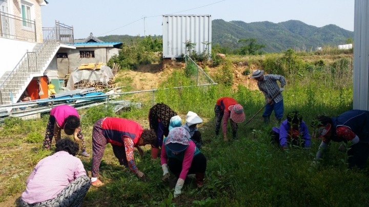 주상면 마을주민, 환경가꾸기 솔선수범