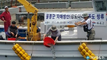 울릉군 자체생산한 강도다리 15만미 방류