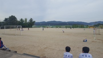 군위교육지원청 교육장배 학교스포츠클럽 리그대회
