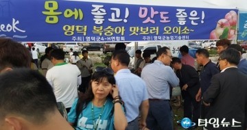 영덕복숭아 성출하기를 맞아 관광객에게 홍보 시식행사 개최