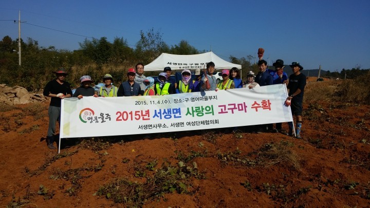 서생면, ‘사랑의 고구마’전달