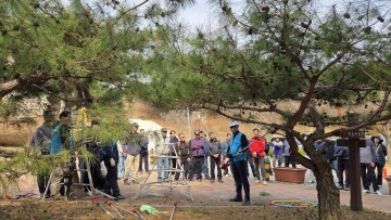 대전시, 수목관리 현장교육 실시…전정기술 강화