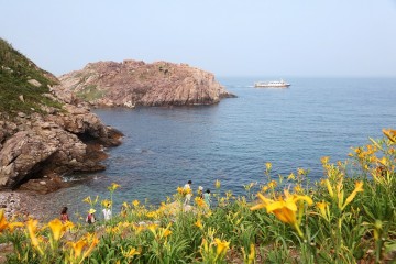 신안군, ‘섬 홍도 원추리축제’ 개최