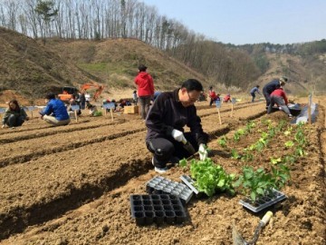 세종시, 주말농장 분양