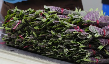 깻잎 한장 100원…상추·오이·고추 고공행진... 