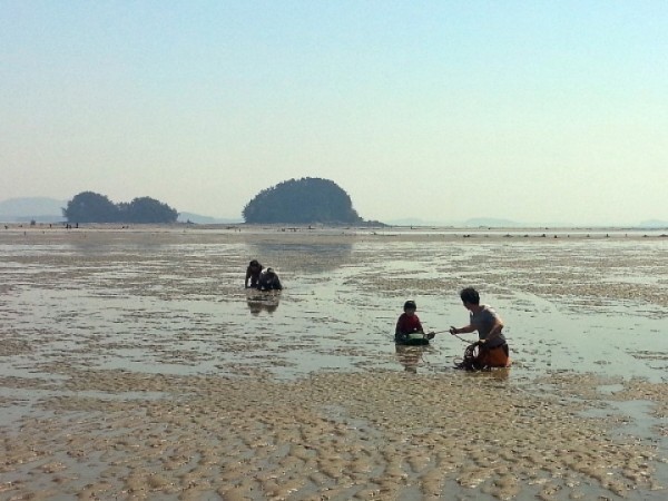 충남 서천에서 갯벌 고립사고 발생