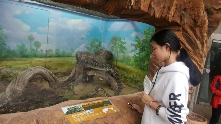 충남교육청, 곤충·해양생물·갯벌 등 생태 탐사․진로멘토링 운영