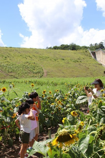 보성군, ‘꽃세상’ 으로 디자인하다