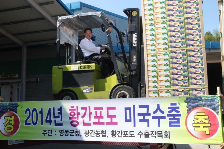 충북‘영동포도’가 9년째 미국 수출길에 오른다.