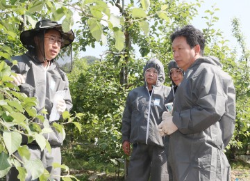 청주시, 과수화상병 첫 발생…확산 방지 총력 대응
