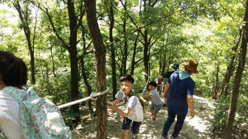 세종시교육청, 교육복지선도학교 공동캠프 ‘모험의 숲’ 운영