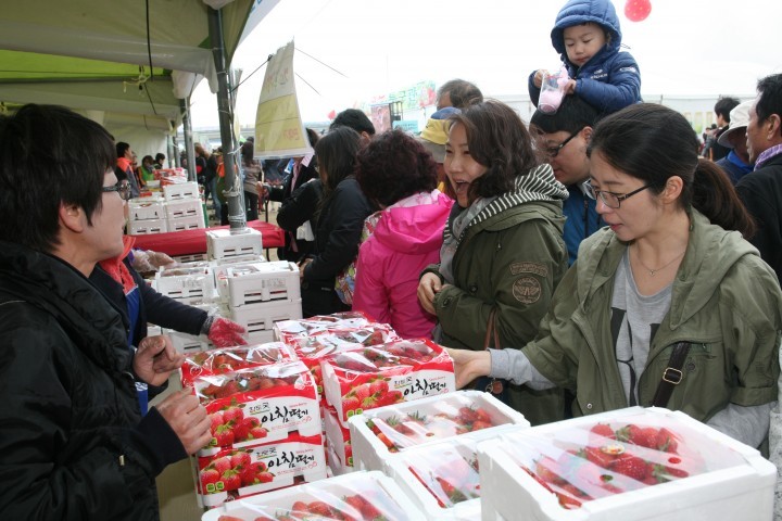논산시, 논산딸기축제 4월 1일부터 5일간 개최