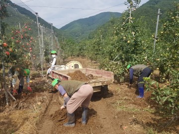 청송군, 포항시 죽장면 태풍 피해 복구에 힘 보태