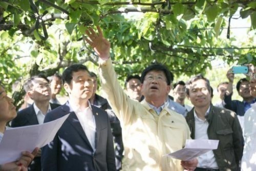 새정치 신정훈 국회의원 등 나주 배 저온피해 착과불량 현장방문 