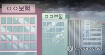 성과급 잔치' 보험사들 회계조작 우려 여전