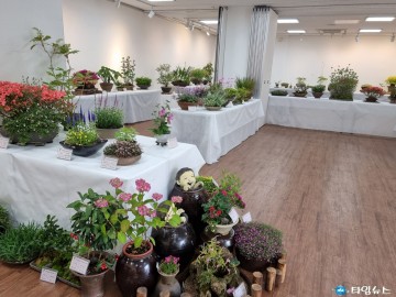 “우리 꽃 만끽하세요”봄꽃 야생화 전시회 개최