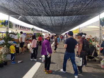 낙동강의 비경 경천대, 제4회 상주베리축제 개최