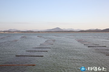 충남 김 수출 호조…수산식품 수출 3년 연속 2억달러 돌파