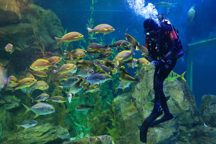 울진군, 울진 왕피천공원 가정의 달 이벤트 진행