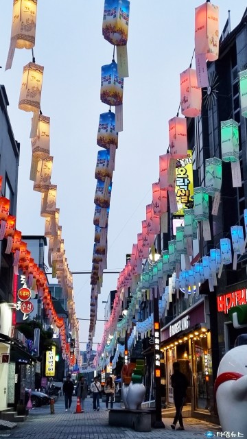 안동 문화광장길 화려하게 수놓은 소원등, 새로운 야간 명소... 6월까지 이어져...