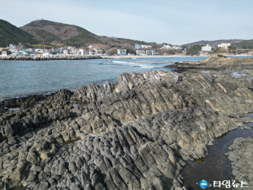 ‘포항 오도리 주상절리’ 국가지정문화재(천연기념물) 지정